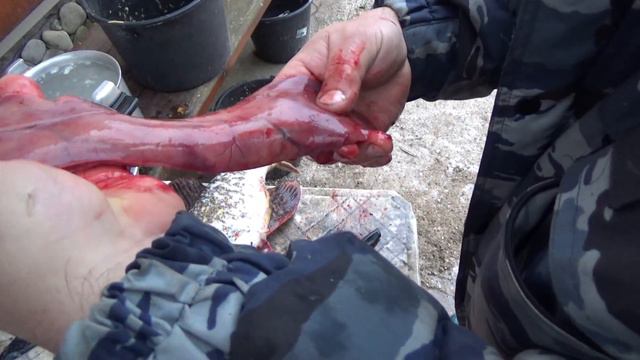 Рыба моей мечты смотреть онлайн