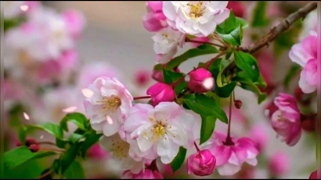 С 1 мая! Самое красивое поздравление с 1 мая. Первомай. Мир, труд, май. 2021 смотреть онлайн