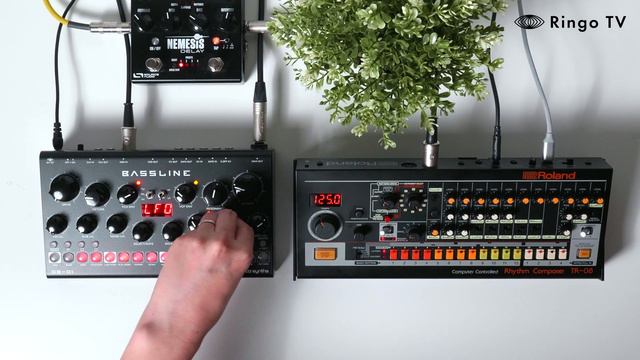 [Ringo TV] Happy 808 DAY! Roland TR-08 with Erica synth DB-01 Bassline #808 #808DAY #DB01 смотреть онлайн