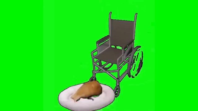 Cat Falling Out of Wheelchair Green Screen смотреть онлайн