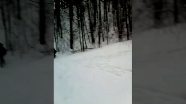 Прикол смотреть всем смотреть онлайн