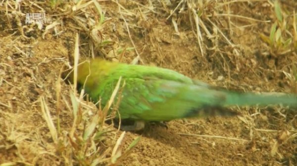 Неизведанные острова - Шри Ланка (Sri Lanka)