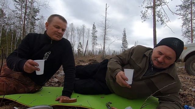 весенняя охота на глухаря и вальдшнепа