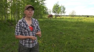 На что смотреть при покупке жеребёнка