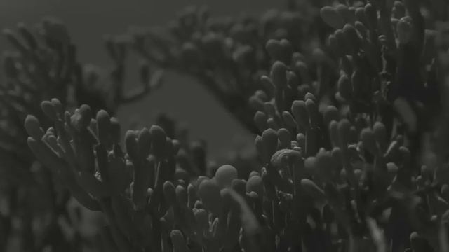 Casualties of Cool 'Flight' - Official Promo Video смотреть онлайн