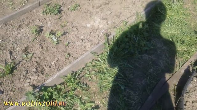 Инструменты для сорняков. Противосорнячный крюк и противосорнячные вилки. смотреть онлайн