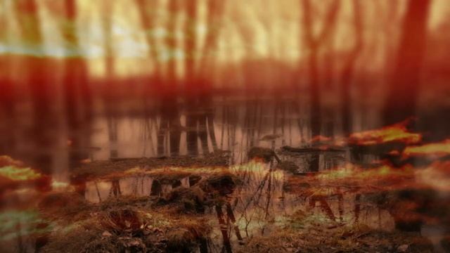 Э. Асадов "Как много тех, с кем можно лечь в постель" смотреть онлайн