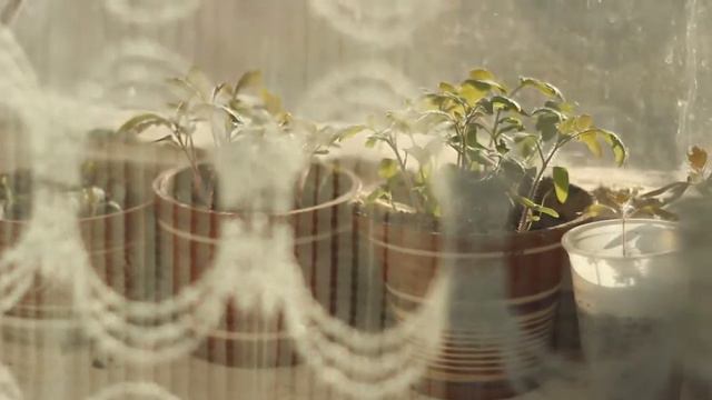 городской волонтер 2 1 смотреть онлайн