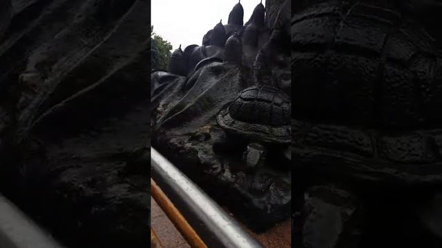 Зоопарк Москва смотреть онлайн