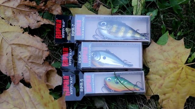 Удивите рыбу — покажите ей раттлин смотреть онлайн