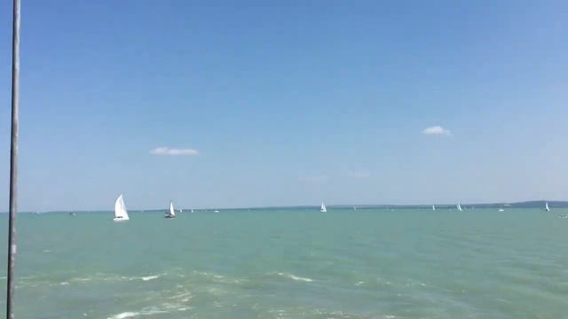 VLOG: Балатон|лавандовый фестиваль смотреть онлайн