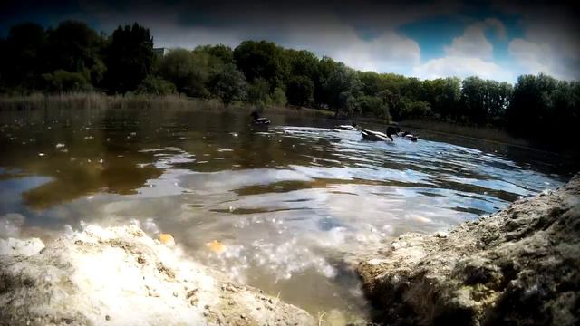 Дендрарий - озеро смотреть онлайн