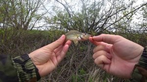 Мормышинг / Fish Season Fario NT Morm.S 0.5-2 гр / Окунь и Подлещик.