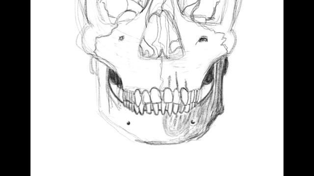 Bite size learn to draw #23 human skull смотреть онлайн