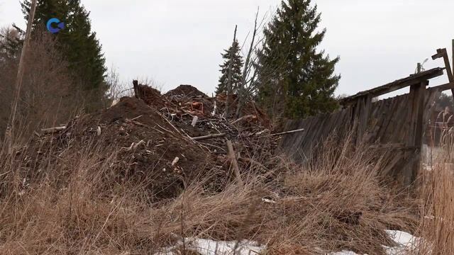 Жители посёлка Ляскеля пожаловались в соцсетях на свалку смотреть онлайн
