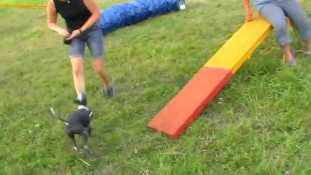 Наш первый с Чу лагерь в Орле смотреть онлайн