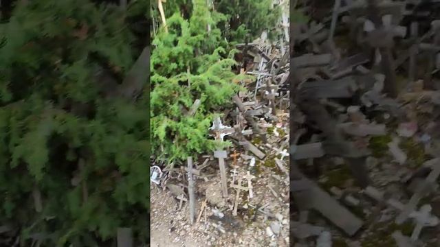 Гора Крестов Литва место паломничества Анонс коротко смотреть онлайн