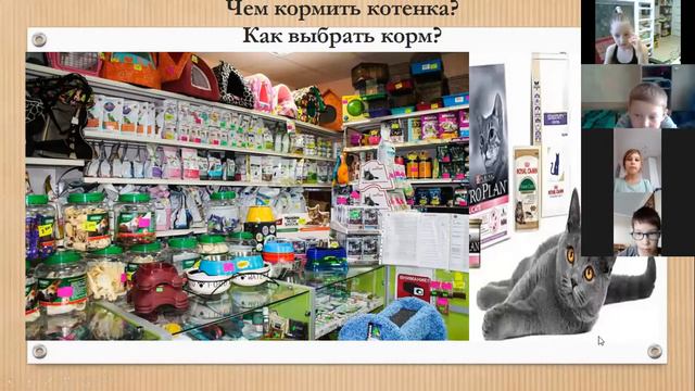 Бездомные животные в городе смотреть онлайн