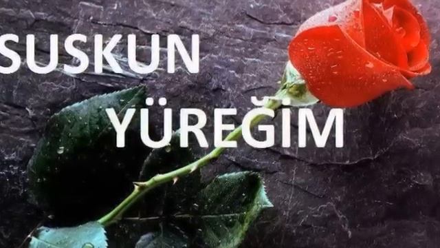 En Güzel çiçek Resimleri