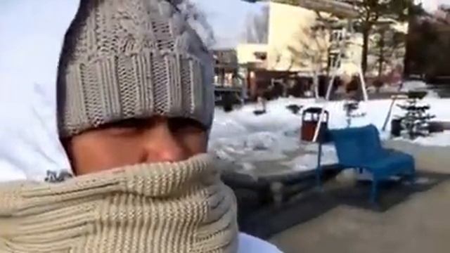 Пальмы в снегу смотреть онлайн