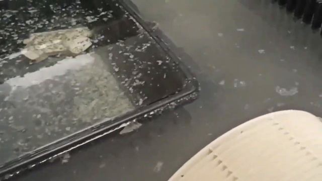 Очистка корпусов увлажнителей моек воздуха Venta смотреть онлайн