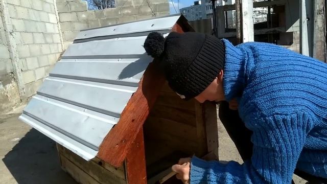 Новое жильё для Жененой собаки .Установили стёкла в разбитое окно. смотреть онлайн