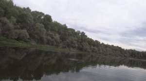 daiwa zillion sv tw 2021- nautilus grinder  5-21 Или как щука издевалась надо мной!!!