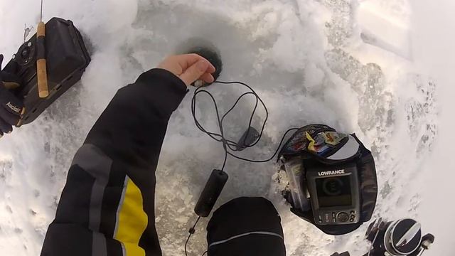 Mêler dans le fil de ma sonde / all tide up in my transducer смотреть онлайн