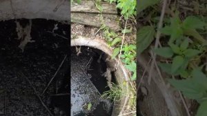 Ефремовский район турбаза Шилова