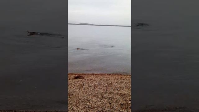 Иссыккуль смотреть онлайн