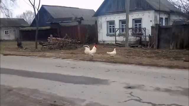 НОСИ ШЛЕМ! смотреть онлайн