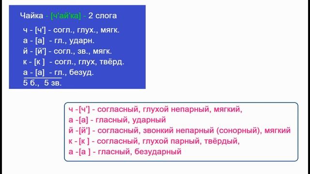Звуко – буквенный (фонетический) разбор к слову чайка смотреть онлайн