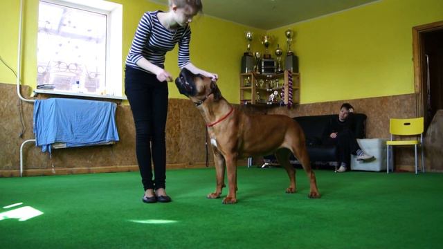 Бурбуль Либерти Стайл Андриана!