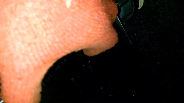 Дорожные Истории