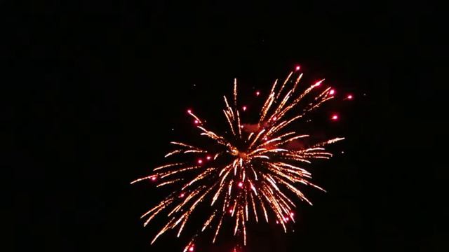 Ref. N1601603-1 # 16 Disp 50 mm. Profesional Oferta!!! смотреть онлайн