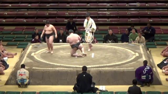 Hatsu 2016 Basho Maezumo Day 6 смотреть онлайн