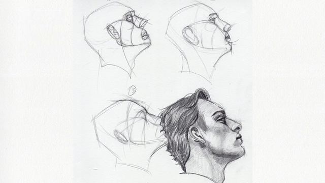 Week 7 of the Weekly Drawing Review: Self-Critiquing for Continuous Improvement - head construction смотреть онлайн