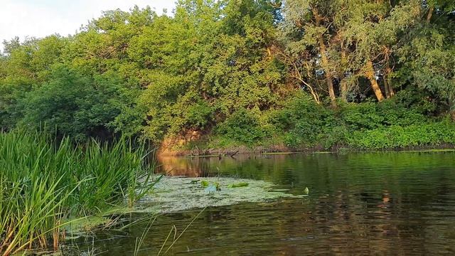 Речка Сула. смотреть онлайн