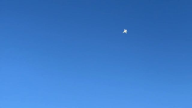 Freewing F-14 Tomcat Twin 80mm Full Span Flap Testing - Touch & Go Flights смотреть онлайн