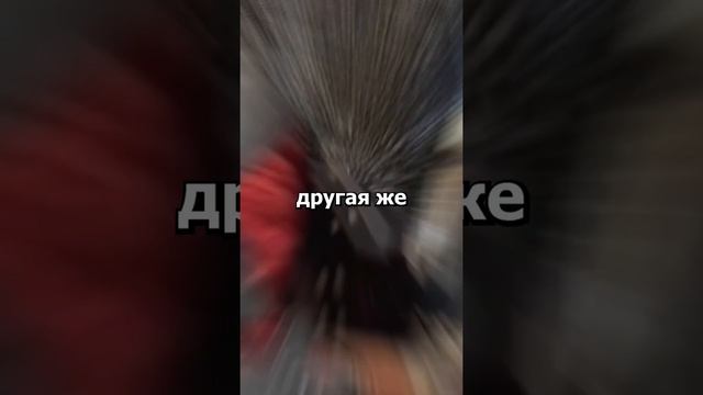 Почему люди чокаются бокалами? #shorts #история #традиции #праздник #новыйгод смотреть онлайн