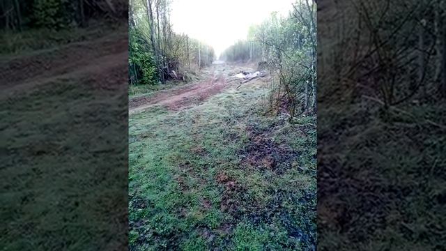 Гром по лисе смотреть онлайн
