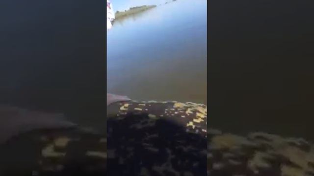 Рыбалка в Астрахани Харабали смотреть онлайн