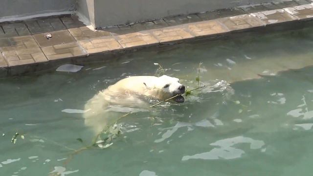 Герда и Ростик играют. 25.07.2016 смотреть онлайн