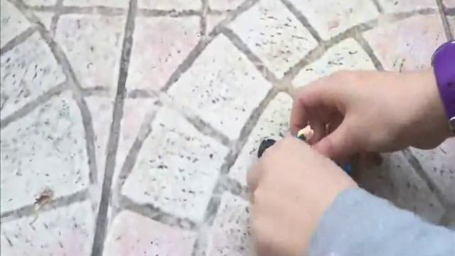 La princesse, le dragon et le chevalier intrépide смотреть онлайн