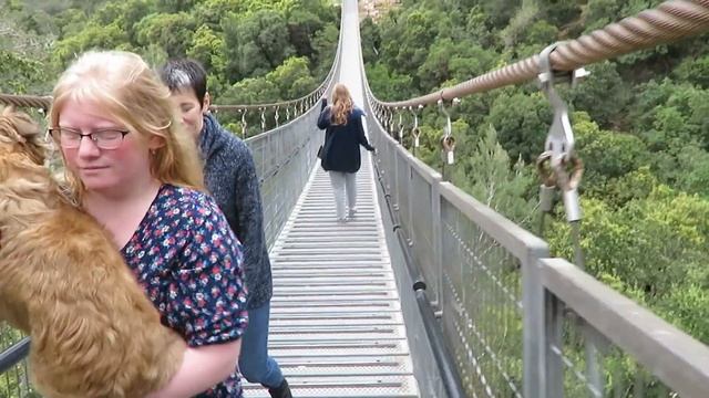 Парк подвесных мостов в Нешер/Park of suspension bridges in Nesher. смотреть онлайн
