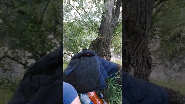 Начевка г Мозырь р Припять смотреть онлайн