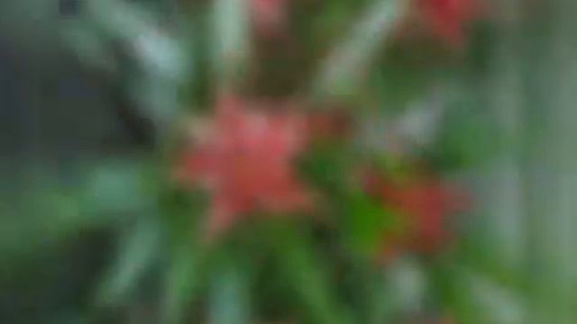 Гулдор заказ бергиле смотреть онлайн