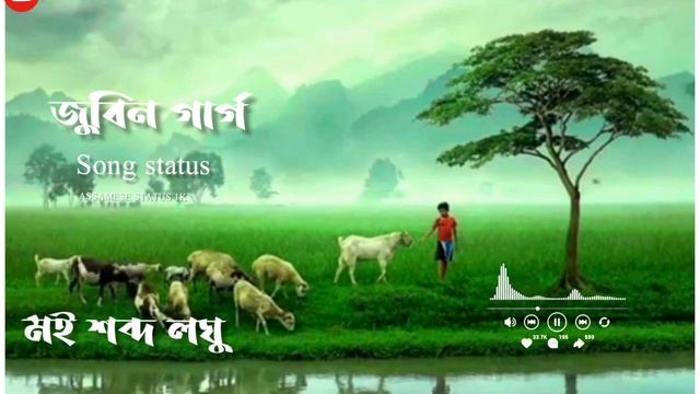 Assamese status New /Zubeen gar status /WhatsApp status video смотреть онлайн