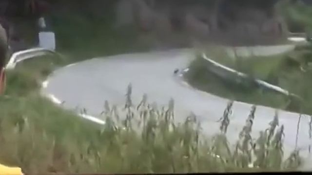 Заяц - участник ралли смотреть онлайн