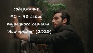 Содержание 91, 92 и 93 серий турецкого сериала «Зимородок» (РФ, 2023)